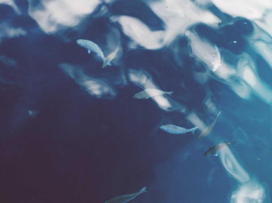 7 Unforgettable Anniversary Gifts from the Heart (With Stories)