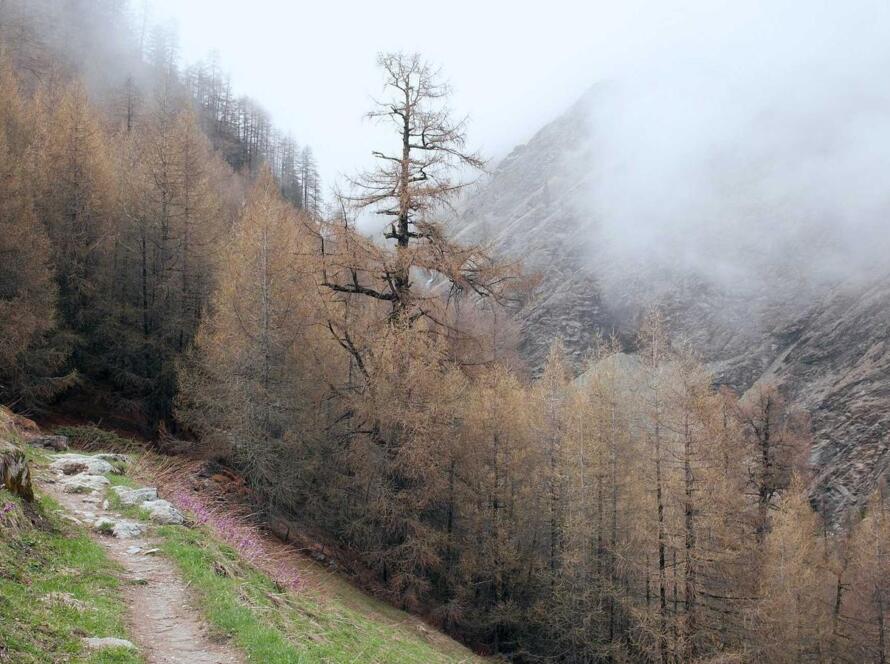 Digital Legacy Planning: A Complete Guide for the Modern Age