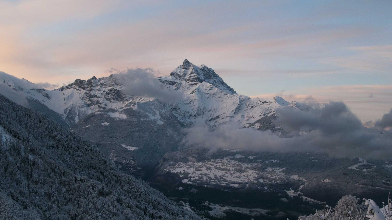 Professional desk setup showing secure password manager and legal documents