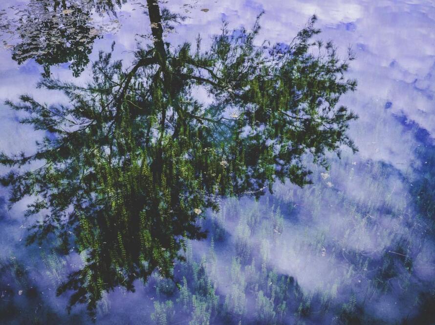 Digital Legacy Planning: A Modern Guide to Preserving Your Digital Life