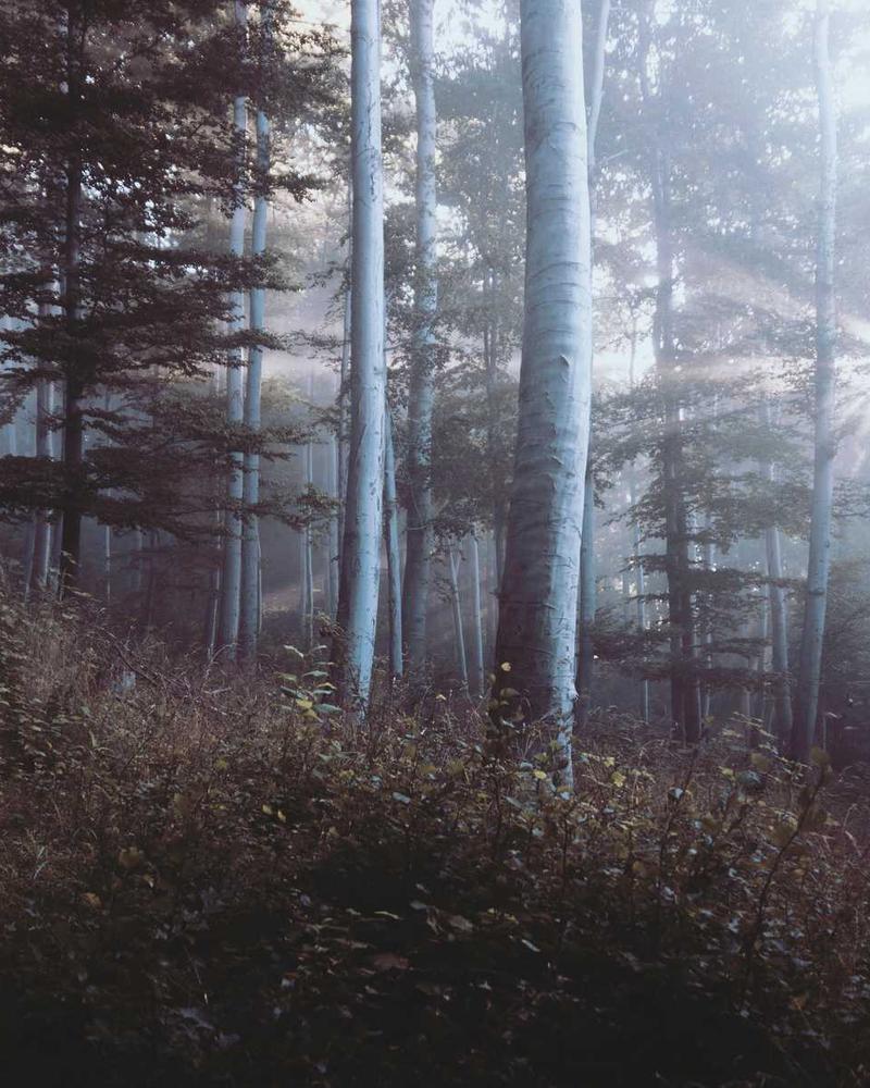 A serene landscape with a person looking at a digital screen, symbolizing future communication