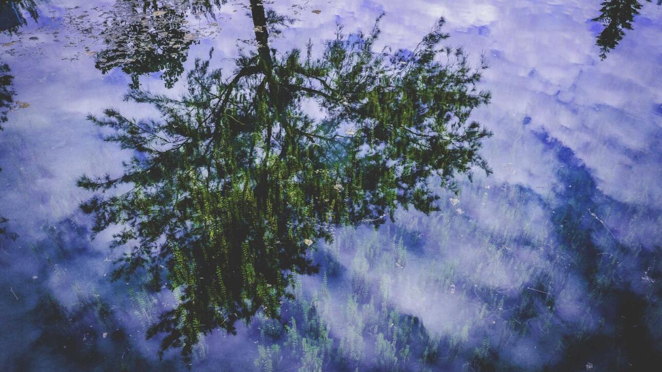 Digital Time Capsule App Review: Top 5 Options for 2024