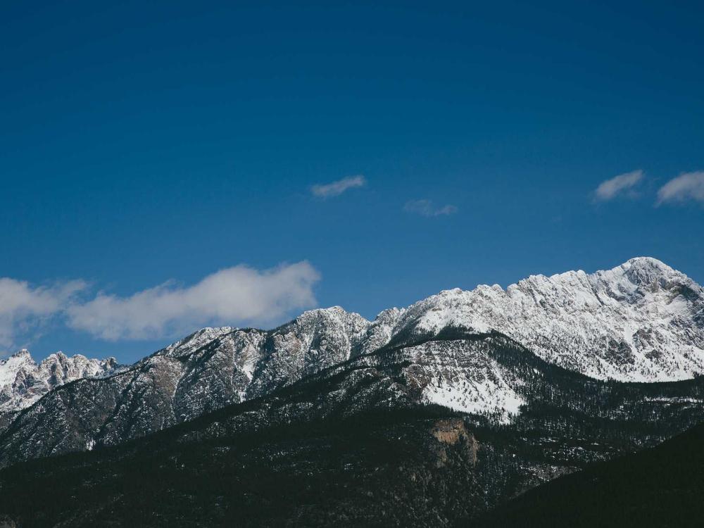 Close-up of a handwritten letter with a cup of tea nearby